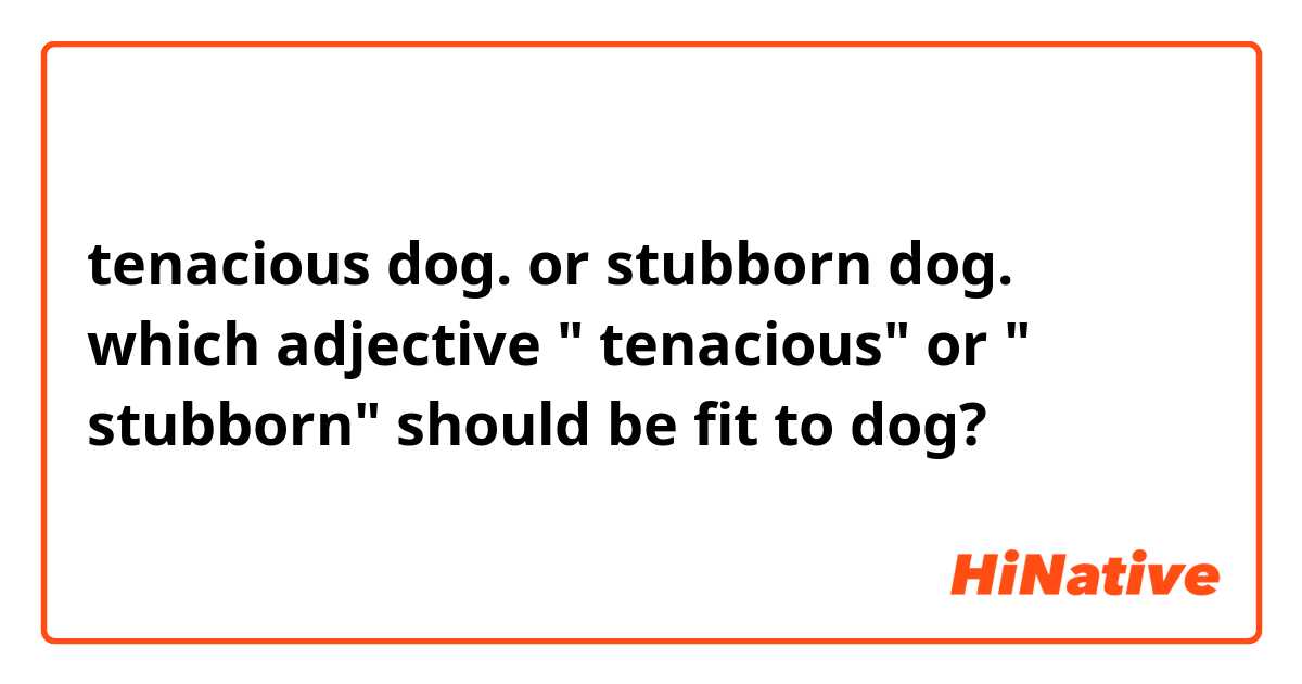 tenacious dog. or stubborn dog. which adjective  tenacious or
